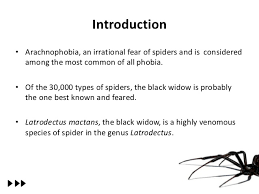 You can extract venom from spiders (and scorpions) with a mild electric shock. Black Widow Spider Alpha Latrotoxin Edited