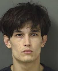 LOEFFLER, ANTHONY III Charges 843.02 (MF) RESIST OFFICER