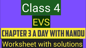 These worksheets for class 3 e.v.s or 3rd grade e.v.s worksheets help students to practice, improve knowledge as they are an effective tool in understanding the subject in totality. Studytime Class 4 Evs Chapter 3 A Day With Nandu Worksheet With Answers Youtube