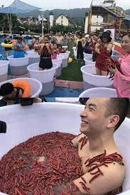 中國重慶市一處紅酒小鎮樂園 舉辦夏日辣椒浴活動 吸引遊客前來納涼避暑 chili china wrestling sumo wrestling sumo