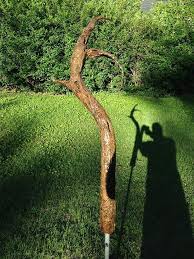 Pin On Halloween Plants Trees