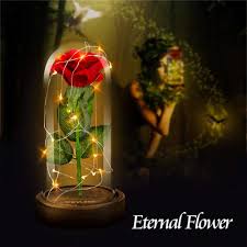 Die hälfte der jugendlichen macht sich sorgen wegen des klimawandels. Shirylzee Die Schone Und Das Biest Rose Ewige Rose Im Glas Rose In Glaskuppel Kunstlich Blumen Rosen Mit Led Licht Haus Dekoration Geschenk Zum Weihnachten Valentinstag Jubilaum Geburtstag Hochzeit Amazon De Kuche Haushalt