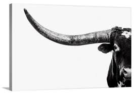 Black And White Bull Canvas Pin On Home Decor