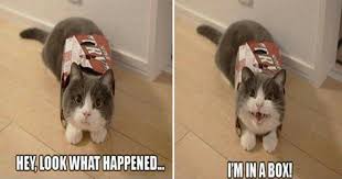 Check spelling or type a new query. Memes Page 141 Of 150 Pratchet Com