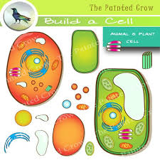 We did not find results for: Animal Cell Clipart Animal Cell Clip Art Images Hdclipartall