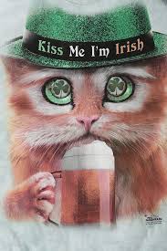 The Mountain St Patty S Cat Tee Cat Tee Cat Graphic Right Meow