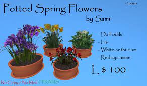 So earlier this year i made my neighbor's daughter popcorn cupcakes for a movie theme party. Second Life Marketplace Spring Easter Sale Potted Spring Flowers By Sami