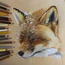 We draw animals for colouring almost daily. Colour Pencil Animal Drawings Pencildrawing2019