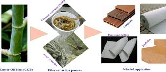 Image result for Girardinia bullosa