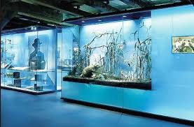 Pin By Lizwattage22 On Exhibition Interior Design Museum Playground Design Museum Interior