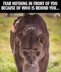 Check spelling or type a new query. Stmlsbihwip7wm