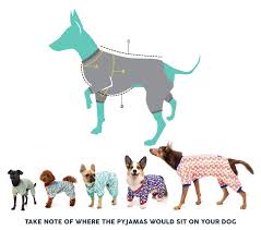 Abundant Dog Size Comparison Chart Irish Setter Weight Chart