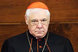O cardeal gerhard müller afirmou que a teologia da libertação modernista e de esquerda continua sendo importante, especialmente na américa latina. Cardinal Muller On Traditionis Custodes The Shepherd Hits The Sheep Hard With His Crook National Catholic Register