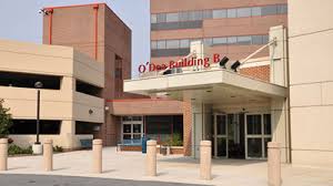 Um Sjmg Internal Medicine Suite 406 Um St Joseph Medical Center
