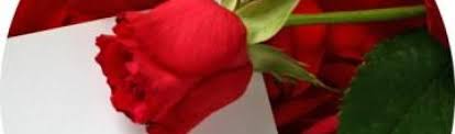 Check spelling or type a new query. Cropped Maya Ubax Jpg