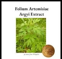 Folium Artemisiae Argyi Extract Supplier | Nutri Avenue