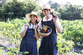 Yahoo!ニュース - News update