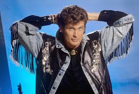 Image result for hasselhoff