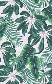 Pin By Tracy On Patterns Palm Trees Wallpaper Leaf Wallpaper Mural Wallpaper