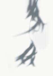 Shadow Of Leaves On A Wall Free Image By Rawpixel Com Shadow Shadow Photography Silhouette Photography