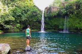 Yogjo menyediakan informasi tentang tempat wisata di jogja mulai dari wisata jogja terbaru terhits yang wajib dikunjungi, wisata malam hari, dekat malioboro, wisata gunung kidul, dan pantai di jogja untuk para wisatawan lokal maupun mancanegara serta paket wisata jogja, sewa mobil jogja, sewa bus pariwisata jogja, sewa motor jogja. 18 Tempat Wisata Keren Di Purbalingga Yang Belum Pernah Anda Ketahui