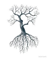 Pin By Jeannehebert1950 On Tattoos New In 2021 Oak Tree Drawings Tree Roots Tattoo Leaf Drawing