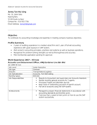 And just like our resume examples and resume guides our resume templates are free to download. Account Executive Profile Resume Templates At Allbusinesstemplates Com