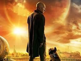 This is one of the very few exclusive paramount plus shows that's also a comedy. Paramount Plus Original Movies And Shows What To Watch