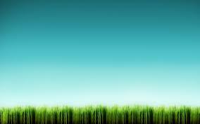 Maybe you would like to learn more about one of these? Grass Landscape Picture Desktop Wallpaper Nature And Landscape Wallpaper Better