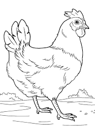 From chicks to hens to roosters, they're all here and ready to be colored. Chicken Coloring Page Coloring Pages For Kids