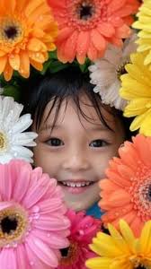 Free Orange Daisy Field Image