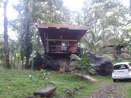 Tree Top Resorts Silent Valley Kerala Top Resorts Tree Tops Resort