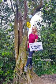 Gunung ini juga bersempadanan dengan negeri pahang. Facebook