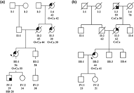 Ovarian cancer awareness symbol drawn on woman's hand over grey background. Pedigrees Of Ovarian Cancer Families With Novel Brca1 Frameshift Download Scientific Diagram