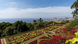 Ein super schöner botanischer garten sehr gut gepflegt und ganz viel zum anschauen wer cactuse mag ist es ein highlight!! Welt Portugal Madeira Funchal Botanischer Garten Funchal Madeira