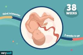 Apr 28, 2017 · i've heard both 7 and 9 lbs of pressure is all it takes to break the human nose. 38 Weeks Pregnant Baby Development Symptoms And More