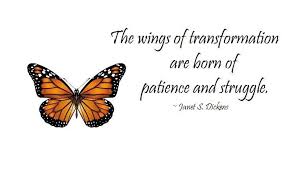 The Wings Of Transformation Are Born Of Patience And Struggle Butterfly Quotes Transformation Quotes Butterfly Transformation