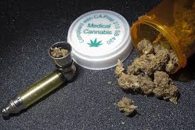 Si in romania a inceput campania pro marijuana. Foto PremierÄƒ DupÄƒ Succesul LegalizÄƒrii Marijuanei In Sua Profit Ro