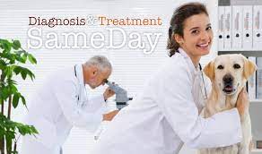 For this reason, we will do everything we can to ensure our patients have long and healthy lives. Home Family Pet Hospital Quality Affordable Pet Care At Your Convenience
