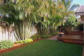 You can create your own tropical getaway with some careful poolside planning. 28 Excellent Landscaping Ideas For Tropical Backyard Thorplc Com Tropical Backyard Landscaping Tropical Landscaping Tropical Backyard