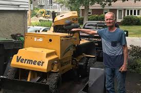 Maybe you would like to learn more about one of these? Tree Removal Pruning In Dedham Ma Lloyd Cushman Tree Service