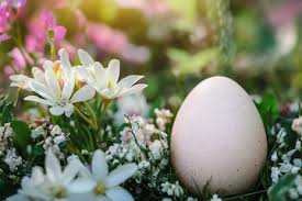 Images de Nature paques – Téléchargement gratuit sur Freepik