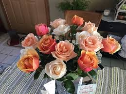 Countin' flowers on the wall, that don't bother me at allplayin' solitare till dawn with a deck of fifty onesmokin' cigarettes and watchin' captain kangaroon. Home And Gardening With Liz Counting Flowers On The Wall Or Rather The Table T
