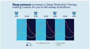 Image result for Sleep Restriction Therapy