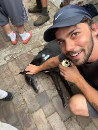 Has anyone stayed in mixed hostels as a female?