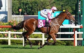 176 likes · 36 talking about this. New Singapore Star Inferno Gets Hong Kong Sprint Invitation Horse Racing Planet