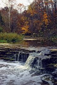 Hueston Woods State Park Oh State Parks The Great Outdoors Great River