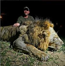 PLEASE NO DEATH THREATS!!! MARK WHITLEY is "chasing the next adventure." Unfortunately he went to Africa to chase that next adventure by hunting a lion with Bullet Safaris. Only 13,356 free roaming