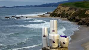 The spa at the del. The Ritz Carlton Spa Half Moon Bay Introduces A Japanese Facial Ritual