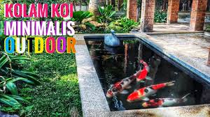 Kolam Koi Minimalis 1 5m X 3m Simpel Dan Indah Youtube